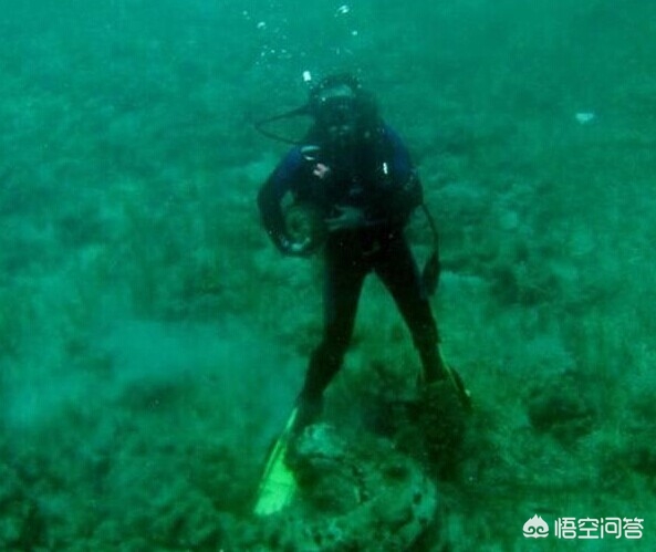 里面像是在水下_在水里面的虫是什么虫叫什么