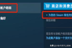 steam微信支付_steam微信支付交易号7-9位在哪看