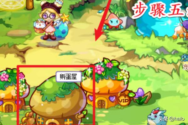 洛克王国阿布在哪_洛克王国阿布在哪里