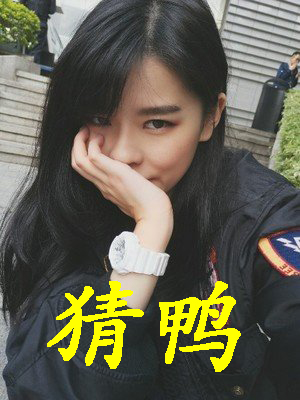企鹅在向另一半表白的时候送什么_企鹅在向另一半表白的时候送什么作为定情信物