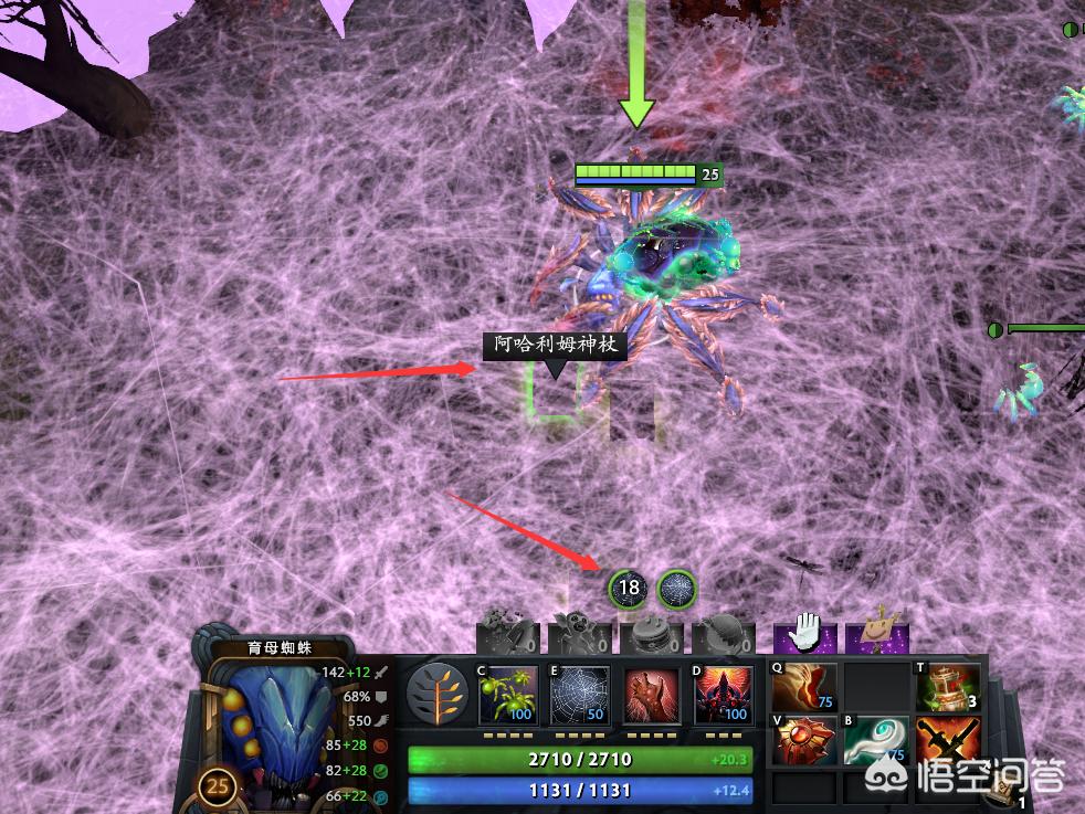 dota育母蜘蛛_DOTA育母蜘蛛出装