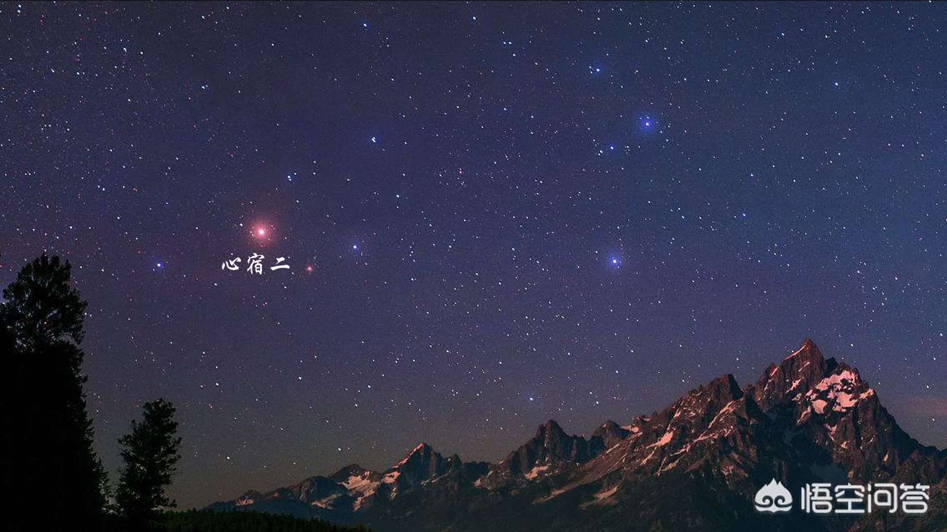 诗经中的七月流火_诗经中的七月流火指的是什么