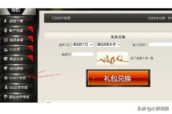 cdkey兑换码大全_剑灵怀旧服cdkey兑换码大全