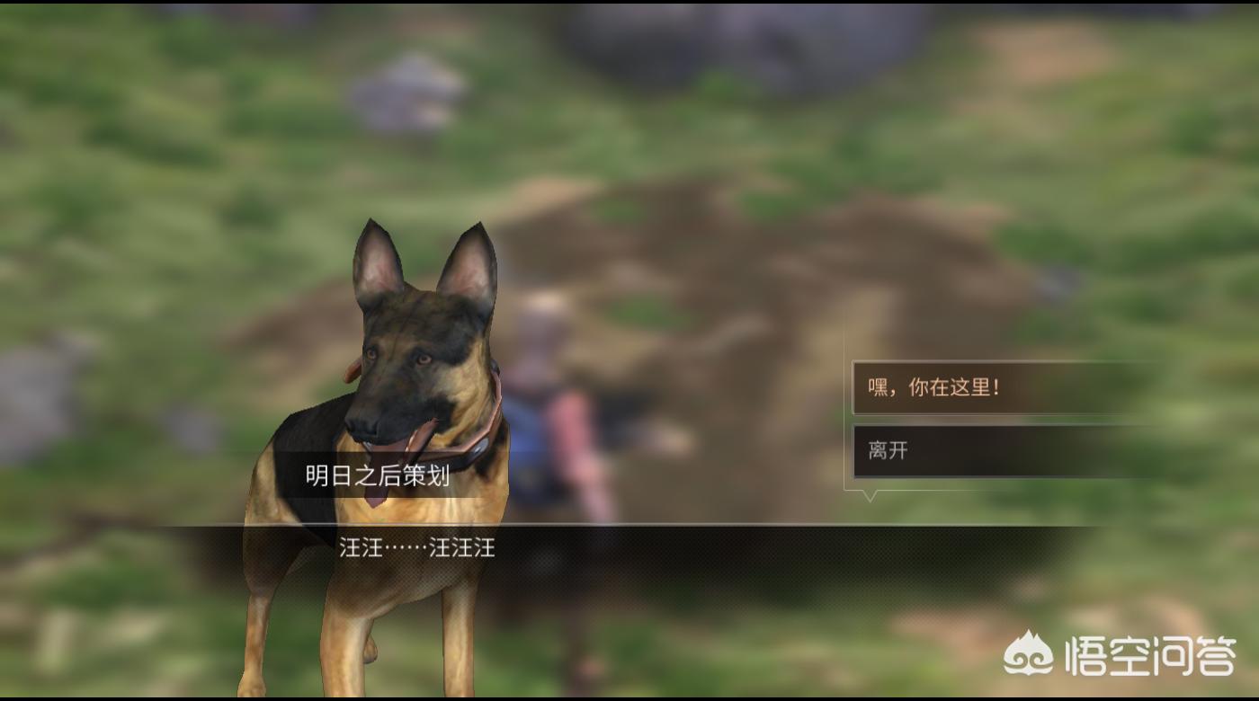 钓鱼钓到大白鲨_钓鱼钓到大白鲨视频