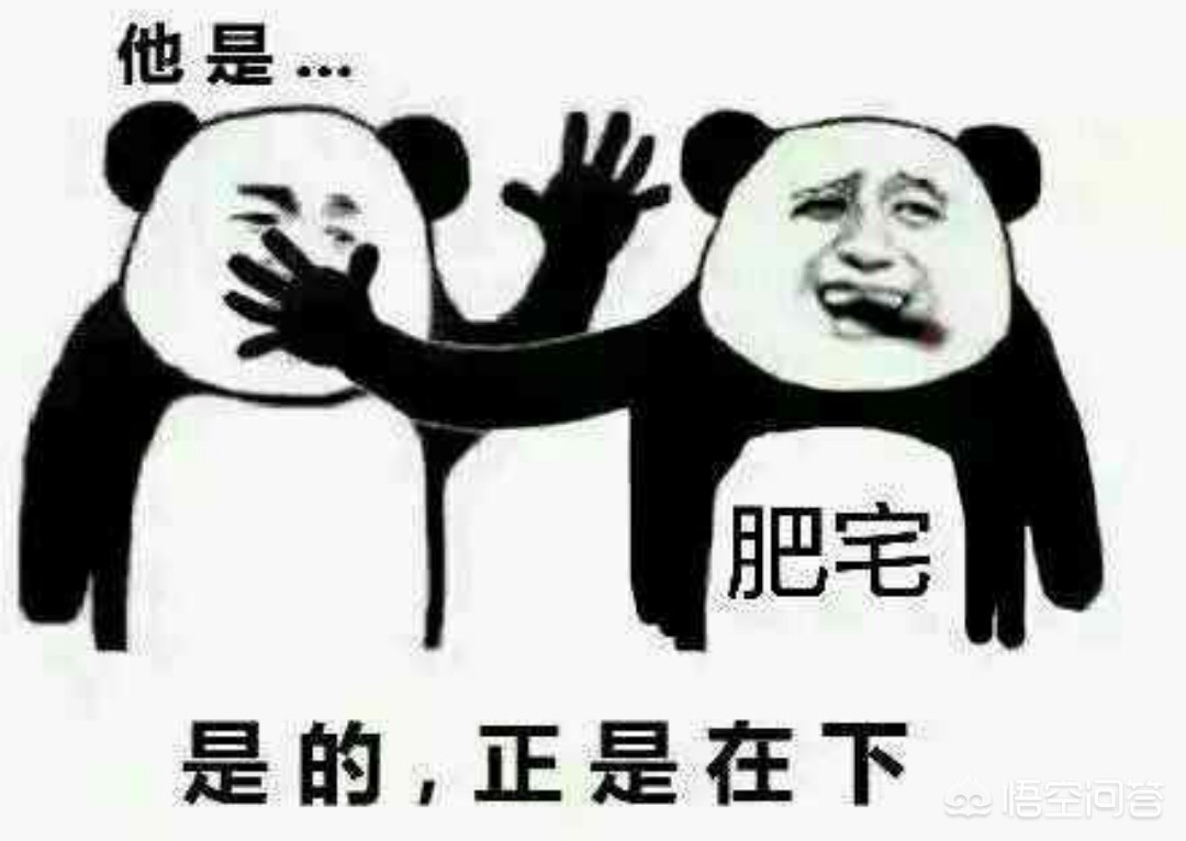 dnf西装_dnf西装节几月几号