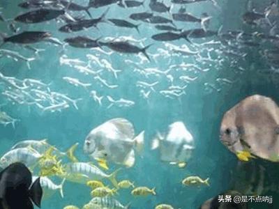 放置类游戏手游_放置类游戏手游有哪些