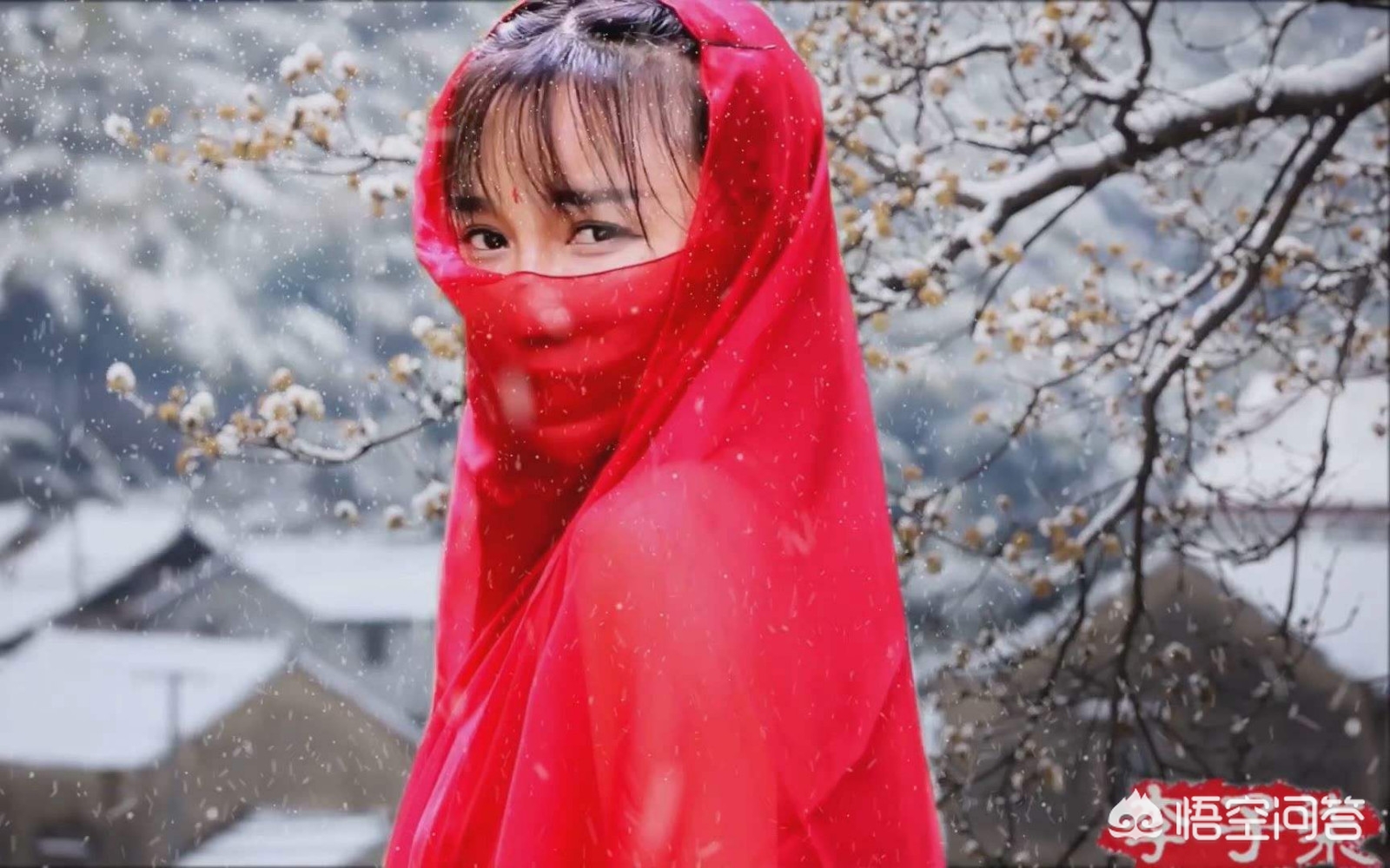 女人爽到****在线观看直播了_