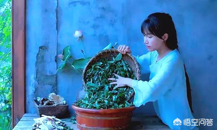 女人爽到****在线观看直播了_