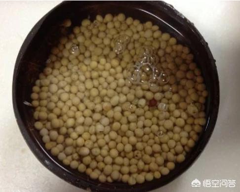 麻豆_