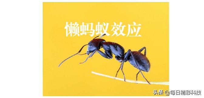 涮火锅时吃的牛上脑蚂蚁庄园_涮火锅时吃的牛上脑一般是指牛什么部位的肉蚂蚁庄园