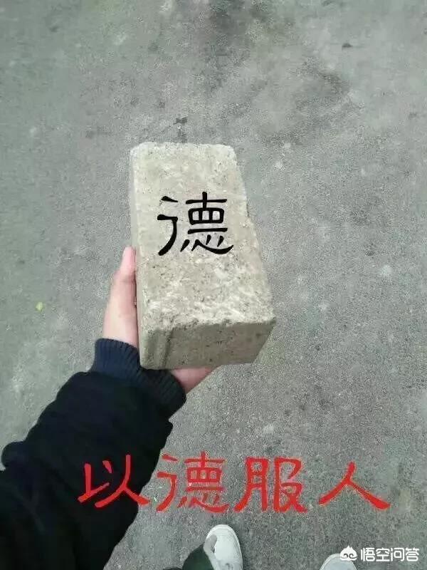 雅典娜献祭流_雅典娜献祭流是什么意思