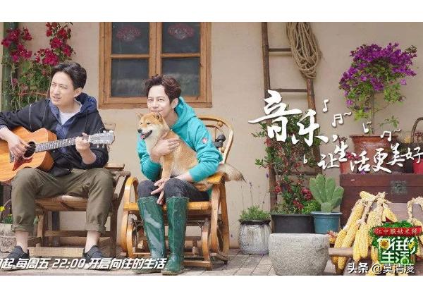派对游戏_派对游戏-无聊的兔子