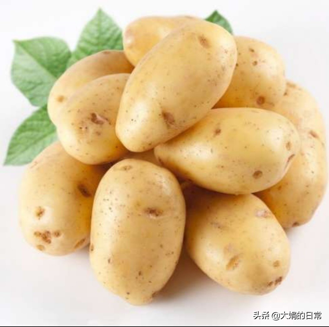 想延长土豆保存期蚂蚁庄园_想延长土豆保存期蚂蚁庄园高清完整版