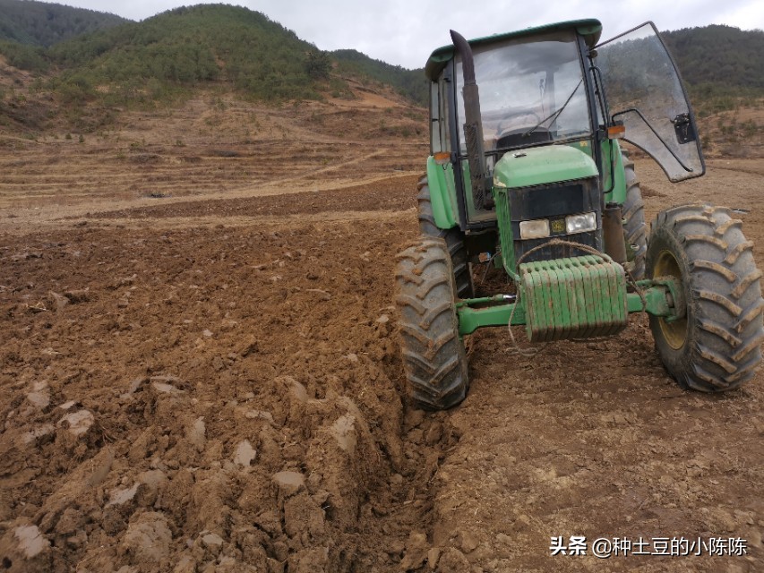 想延长土豆保存期蚂蚁庄园_想延长土豆保存期蚂蚁庄园高清完整版