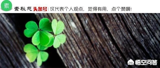 11.2.2_1122好夫妇电视剧