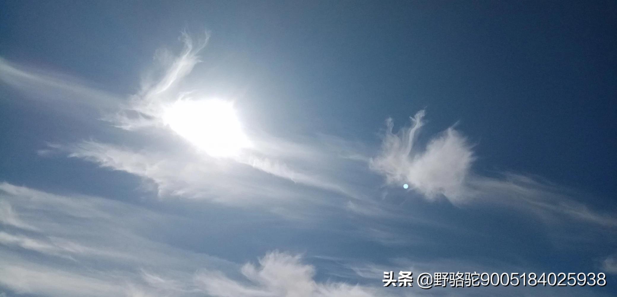 qq红包老鼠怎么画_qq红包,老鼠怎么画?