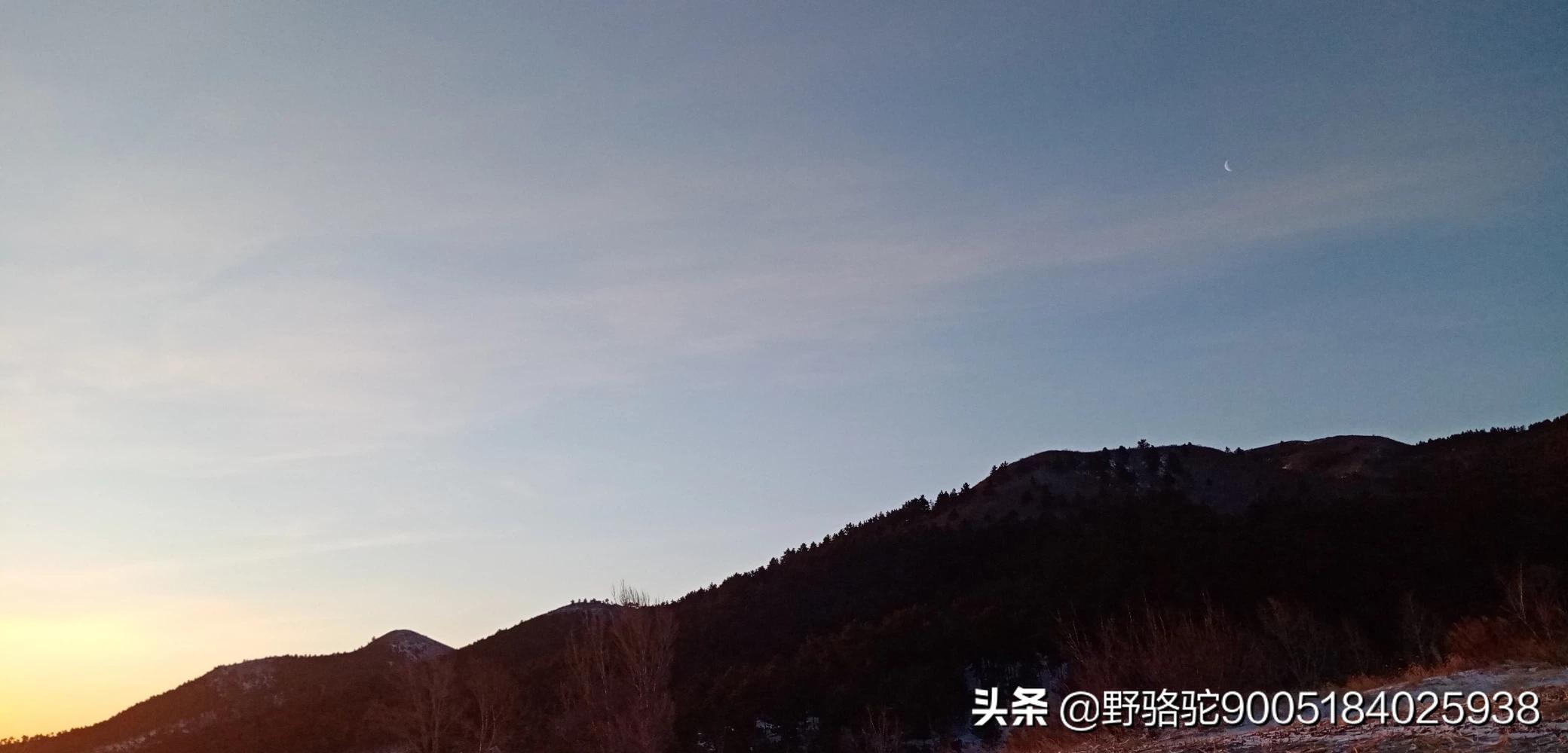 qq红包老鼠怎么画_qq红包,老鼠怎么画?