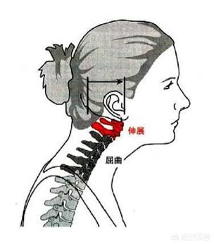 坐多久算久坐一族_坐多久算久坐?