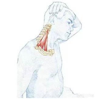 坐多久算久坐一族_坐多久算久坐?