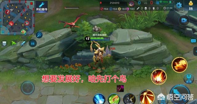 鸟类可不管什么荣耀_鸟类可不管什么荣耀任务怎么做