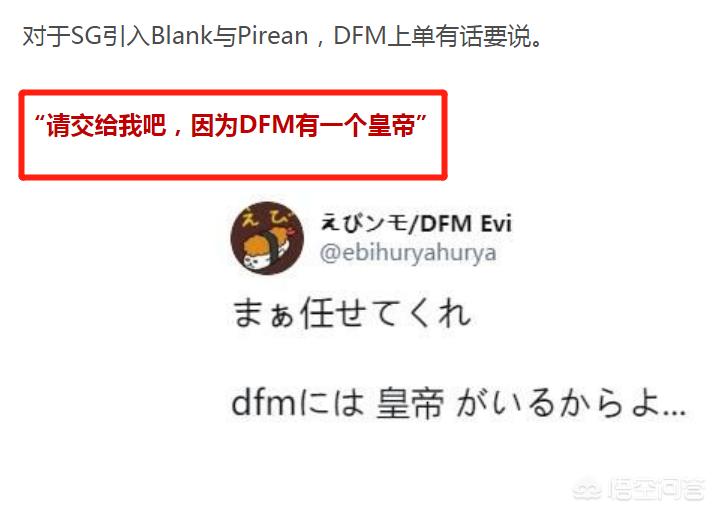 dfm战队是哪个国家_dfm战队是哪个国家的