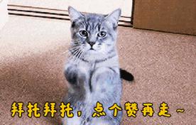 王者荣耀云中君_王者荣耀云中君教学