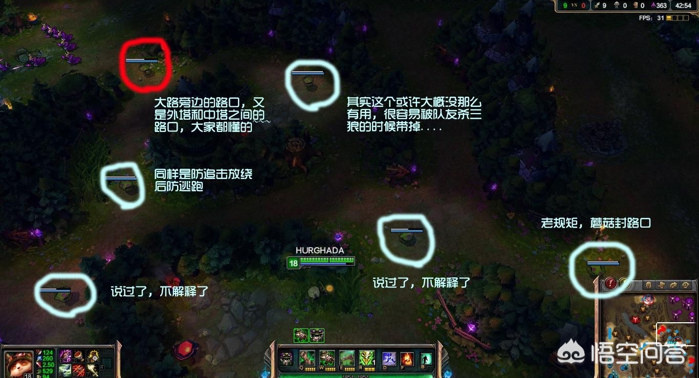 本周免费英雄_本周免费英雄lol