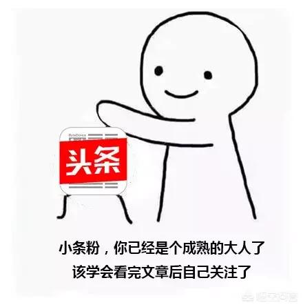 魔兽比赛视频_魔兽比赛视频fly