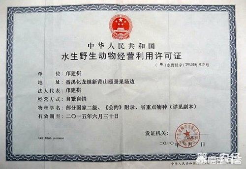 宠物饲养许可证_宠物饲养许可证怎么办理