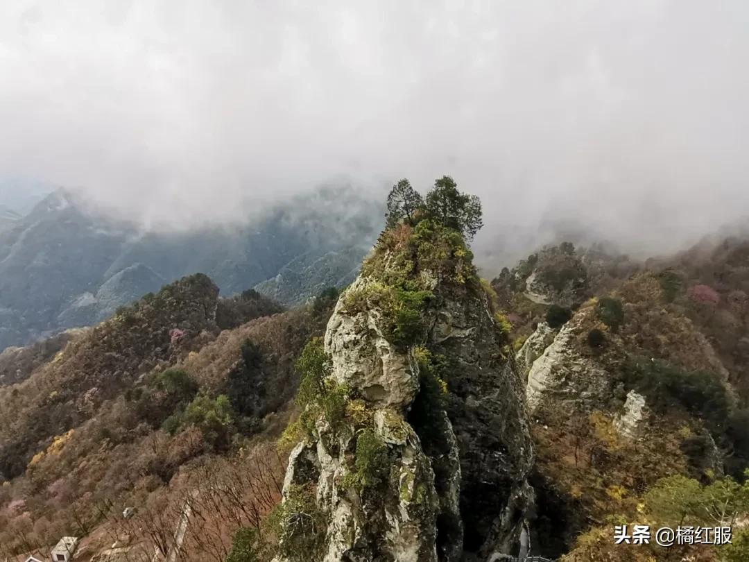 免费 a视频_最好免费的高清视频