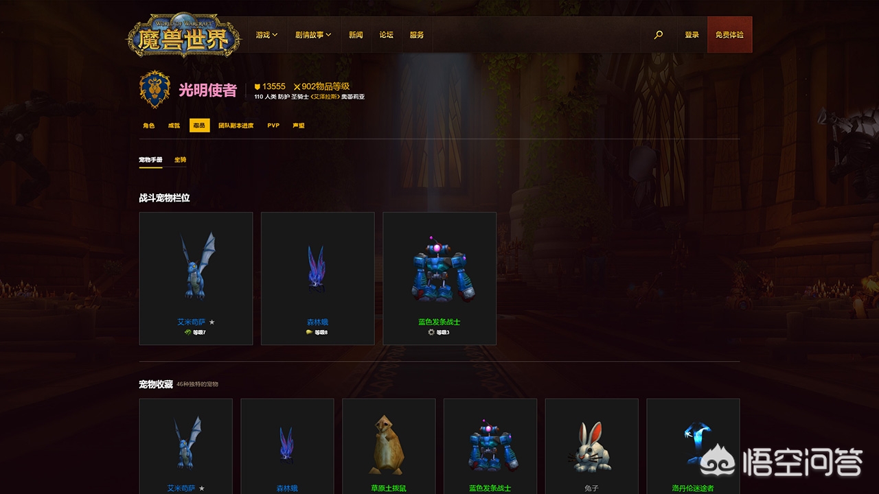 魔兽世界英雄榜查询_魔兽世界英雄榜查询步骤