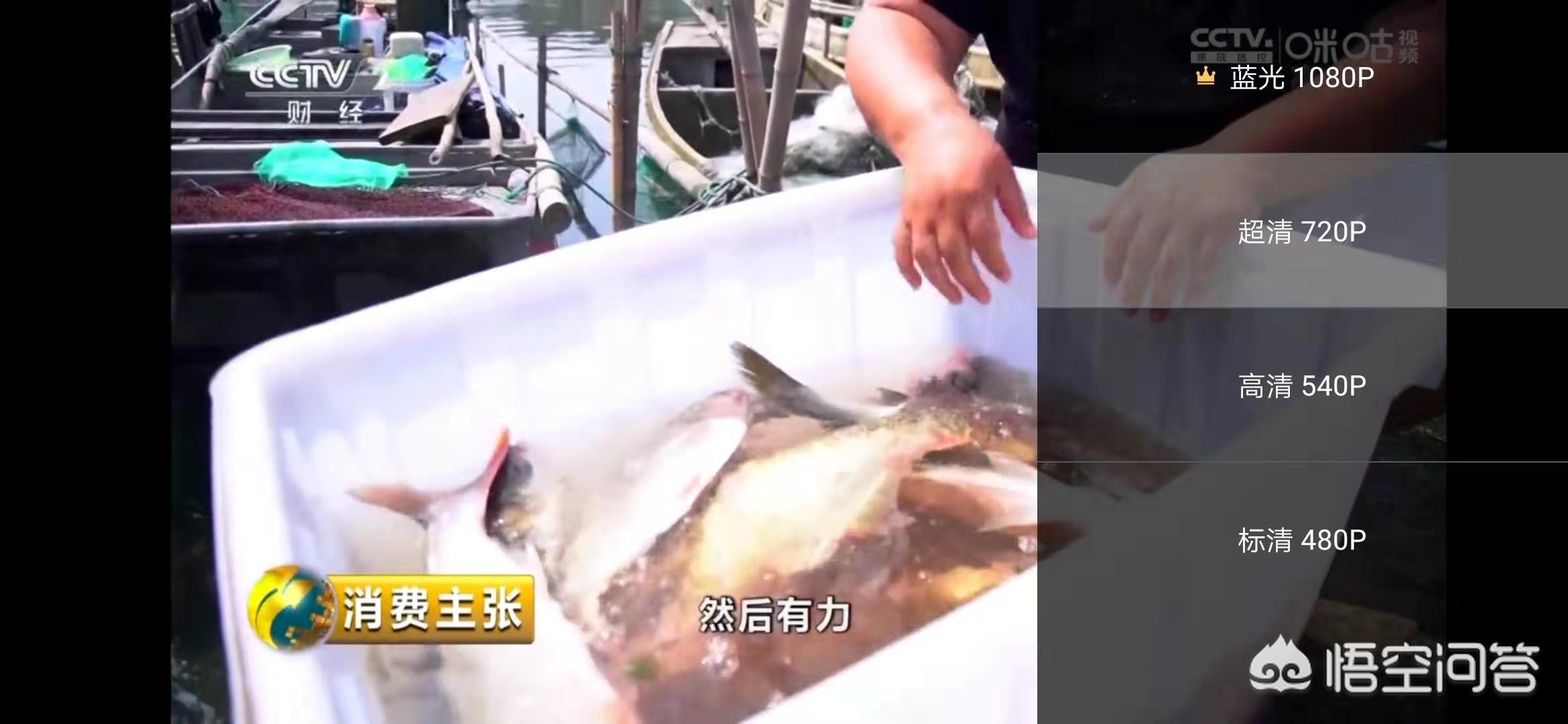 直播软件app免费下载_体育直播软件app免费下载