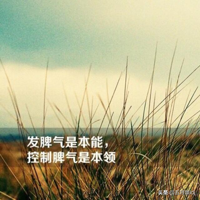 你忍一下我的很大_你忍一下我的很大英语
