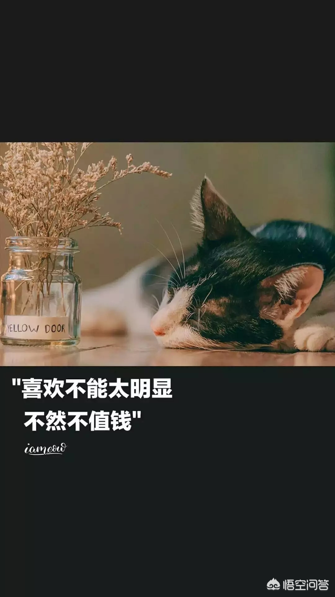 网上最火的手机壁纸_网上最火的手机壁纸女生