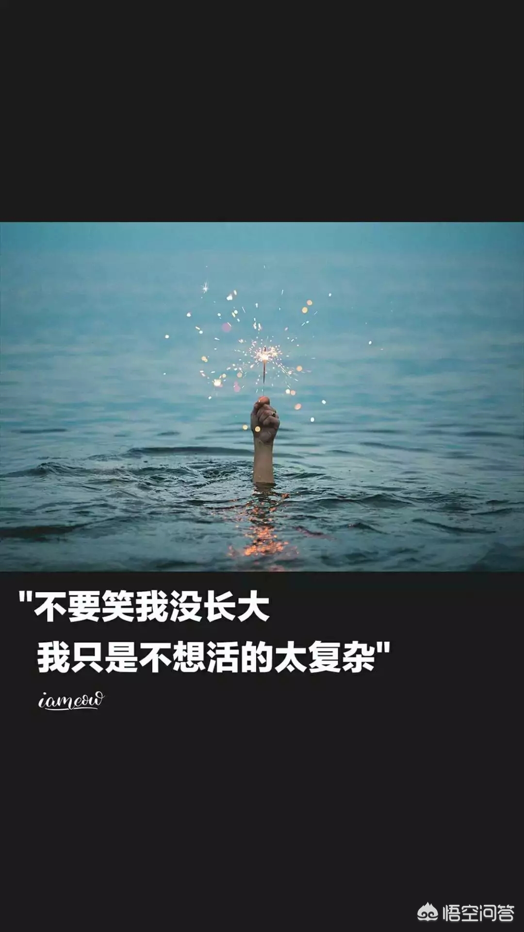网上最火的手机壁纸_网上最火的手机壁纸女生