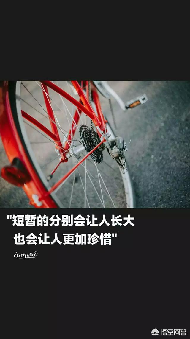 网上最火的手机壁纸_网上最火的手机壁纸女生