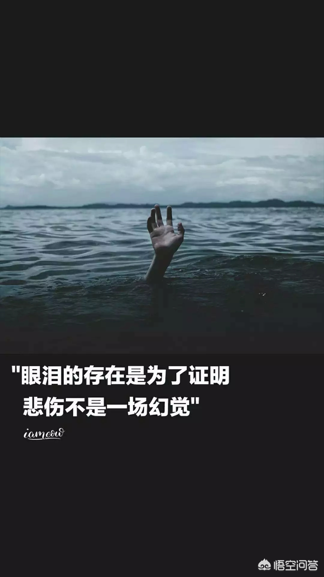 网上最火的手机壁纸_网上最火的手机壁纸女生