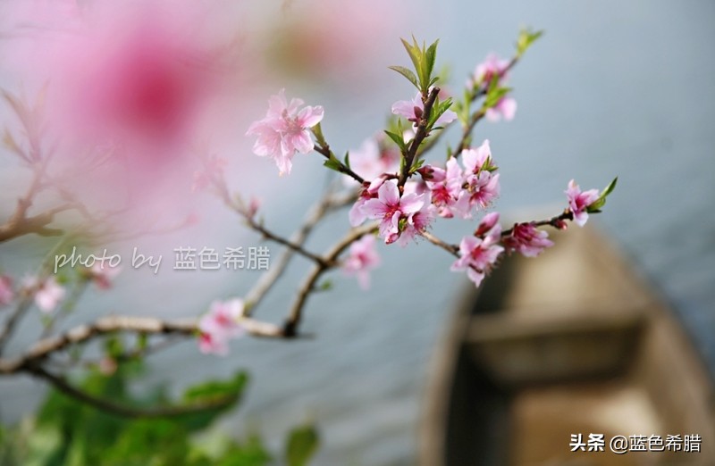 厨房的春潮带雨晚来急_厨房春潮带雨晚来急电影