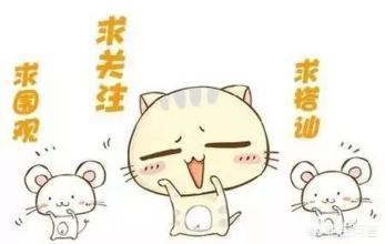 信长之野望手游_信长之野望手游下载