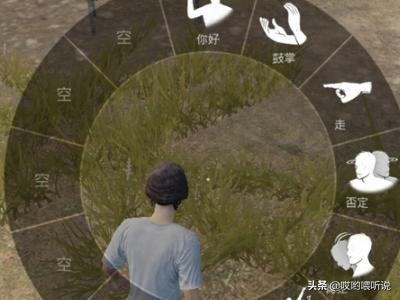 绝地求生表情_绝地求生表情轮盘是哪个键