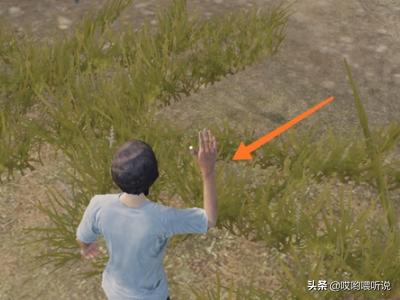 绝地求生表情_绝地求生表情轮盘是哪个键