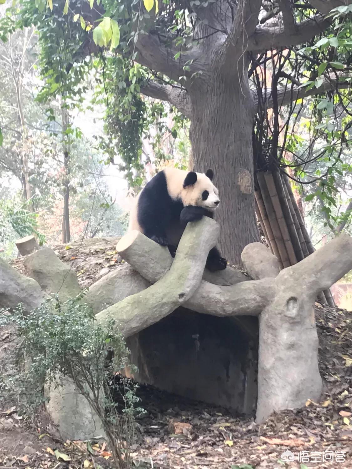 wow怎么充值_wow怎么充值游戏时间