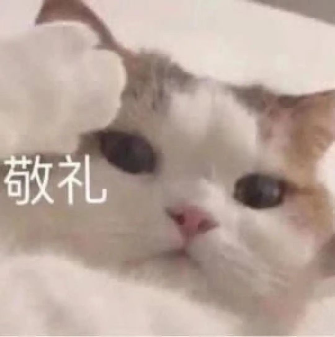 猫咪社区app官网入口进入_猫咪社区app在线官网风险提示
