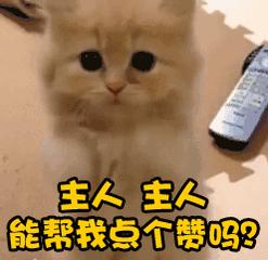 msi季中赛2019_MSI季中赛2019通行证