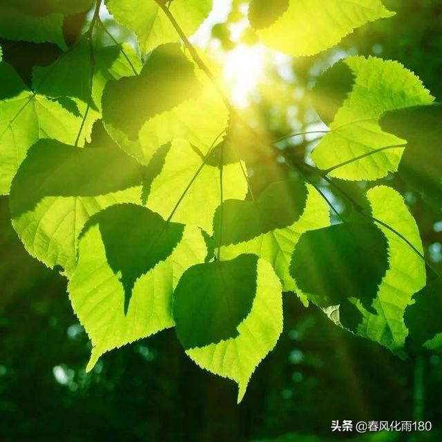 美好的开端_美好的开端打一字谜底是什么字