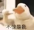 休闲网络游戏排行榜_休闲网络游戏排行榜前十名