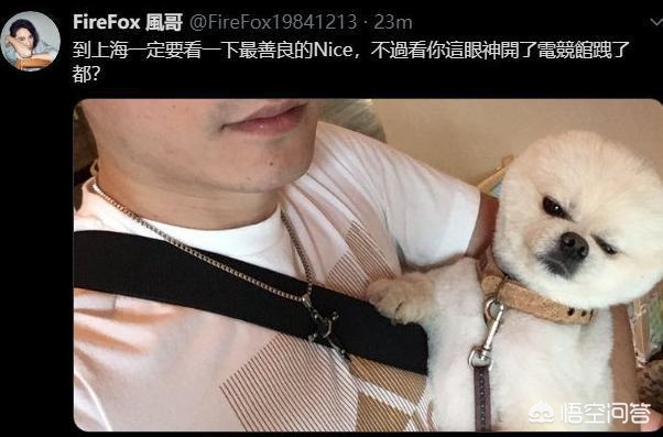 EDG为什么叫国电_edg为什么叫国电队