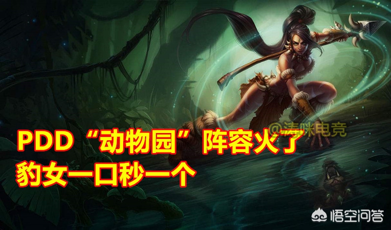 云顶之弈动物园阵容_云顶之弈动物园阵容是什么