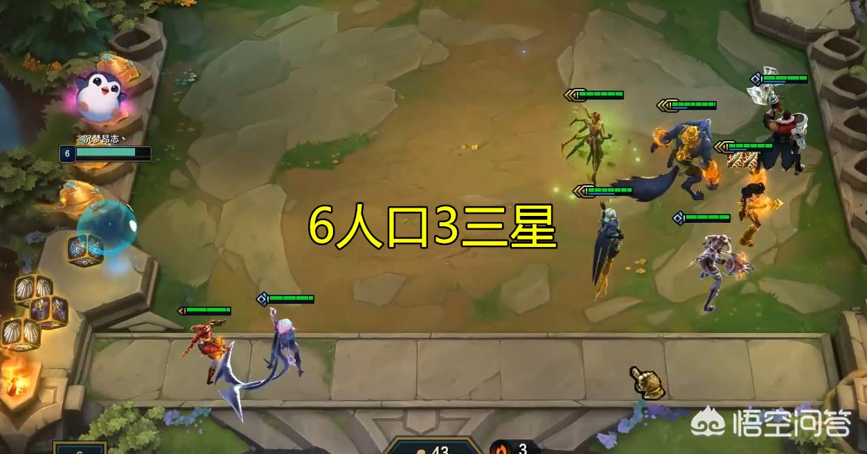 云顶之弈动物园阵容_云顶之弈动物园阵容是什么