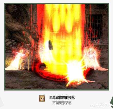dnf新年宠物_DNF新年宠物可以交易吗